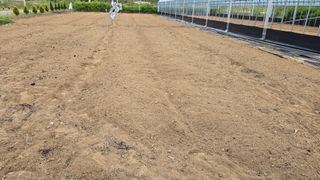 전영순님의 기타작물 · 영농일지 작성글 사진