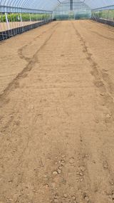 팜모닝 기타작물·영농일지 게시글 이미지