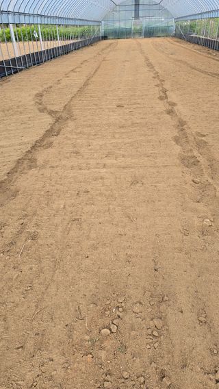 전영순님의 기타작물 · 영농일지 작성글 사진