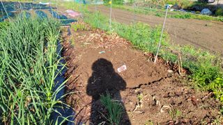 김영규님의 시금치 · 영농일지 작성글 사진