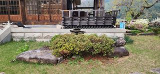 김제일님의 기타작물 · 영농일지 작성글 사진