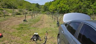 최병만님의 기타작물 · 영농일지 작성글 사진