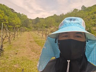 최병만님의 기타작물 · 영농일지 작성글 사진