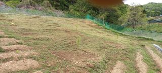 고병길님의 기타작물 · 영농일지 작성글 사진