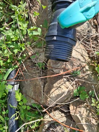 황인근님의 블루베리 · 영농일지 작성글 사진