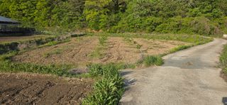 최병만님의 기타작물 · 영농일지 작성글 사진