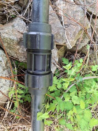 황인근님의 블루베리 · 영농일지 작성글 사진