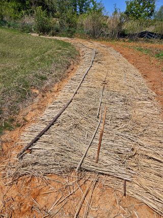 김균율님의 옥수수 · 영농일지 작성글 사진