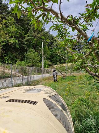백운농원 님의 기타작물 · 영농일지 작성글 사진