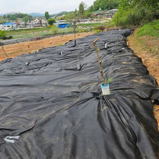 이주환님의 기타작물 · 영농일지 작성글 사진