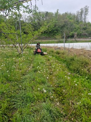 백운농원 님의 기타작물 · 영농일지 작성글 사진