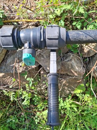 황인근님의 블루베리 · 영농일지 작성글 사진