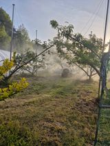 팜모닝 기타작물·영농일지 게시글 이미지