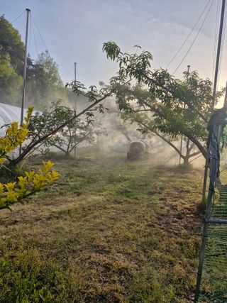 백운농원 님의 기타작물 · 영농일지 작성글 사진
