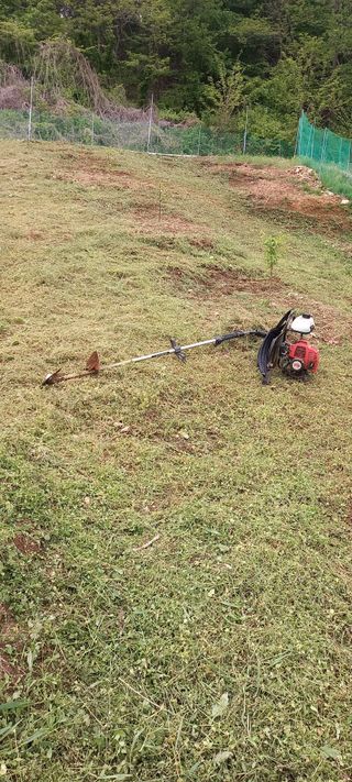 고병길님의 기타작물 · 영농일지 작성글 사진