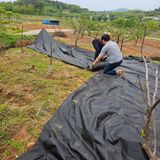 팜모닝 기타작물·영농일지 게시글 이미지