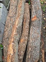 팜모닝 버섯·영농일지 게시글 이미지