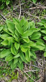 팜모닝 기타작물·영농일지 게시글 이미지