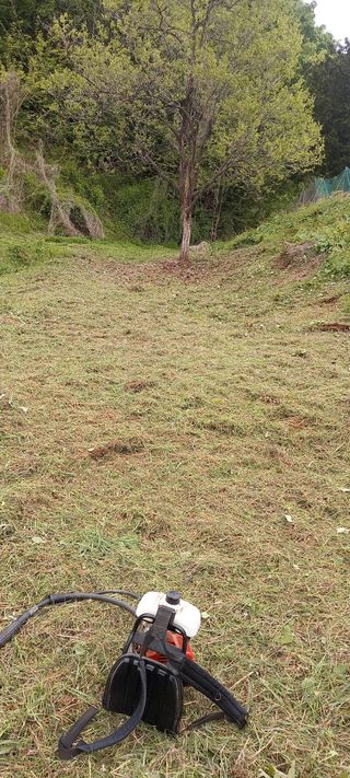고병길님의 기타작물 · 영농일지 작성글 사진