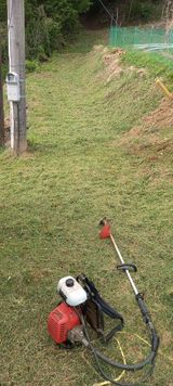 팜모닝 기타작물·영농일지 게시글 이미지