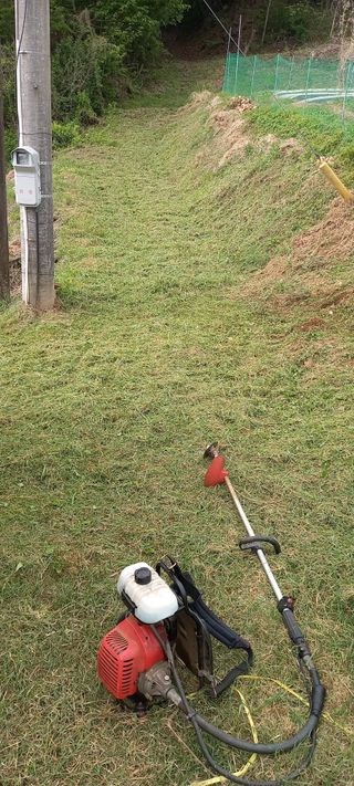 고병길님의 기타작물 · 영농일지 작성글 사진