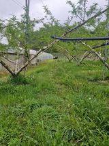 팜모닝 기타작물·영농일지 게시글 이미지