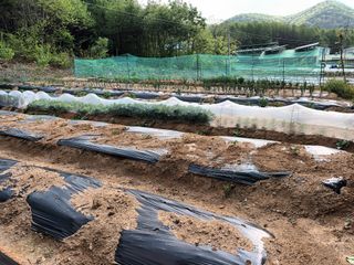 한건택님의 기타작물 · 영농일지 작성글 사진