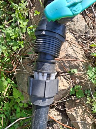 황인근님의 블루베리 · 영농일지 작성글 사진