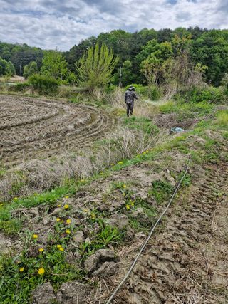 백운농원 님의 기타작물 · 영농일지 작성글 사진