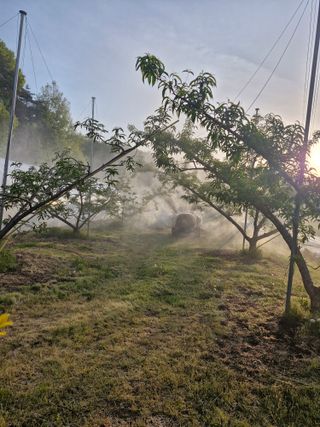 백운농원 님의 기타작물 · 영농일지 작성글 사진