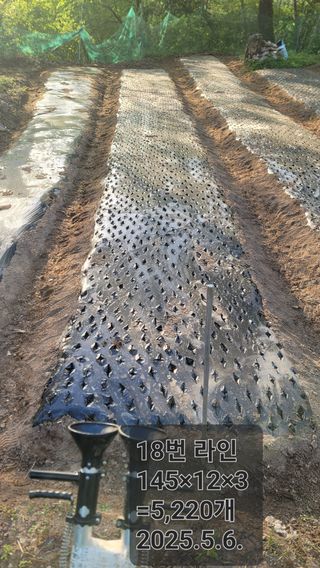 서초농원님의 기타작물 · 영농일지 작성글 사진