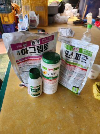 벽창호(죽동농부)님의 사과 · 영농일지 작성글 사진