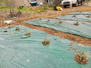 김주희님의 기타작물 · 영농일지 작성글 사진