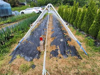 김진영님님의 기타작물 · 영농일지 작성글 사진