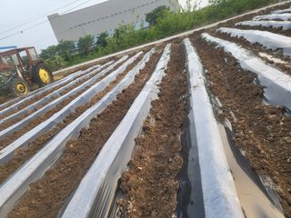 하태묵님의 기타작물 · 영농일지 작성글 사진