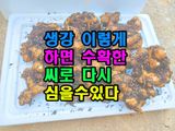 팜모닝 기타작물·영농일지 게시글 이미지