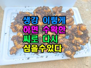 꿈꾸는텃밭님의 기타작물 · 영농일지 작성글 사진