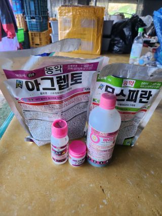 벽창호(죽동농부)님의 사과 · 영농일지 작성글 사진