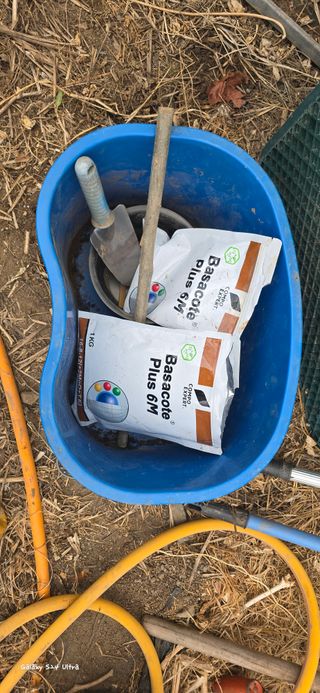 ♡청심전유삼♡님의 고추 · 영농일지 작성글 사진