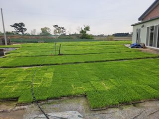 장남복님의 벼 · 영농일지 작성글 사진