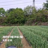 팜모닝 기타작물·영농일지 게시글 이미지