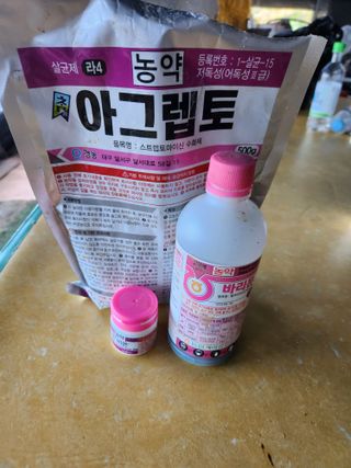 벽창호(죽동농부)님의 사과 · 영농일지 작성글 사진