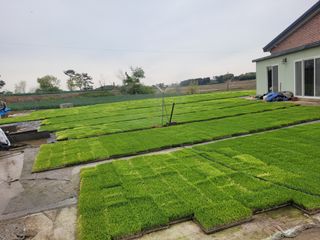 장남복님의 벼 · 영농일지 작성글 사진