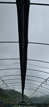 팜모닝 기타작물·영농일지 게시글 이미지