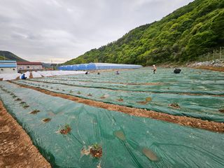 김주희님의 기타작물 · 영농일지 작성글 사진