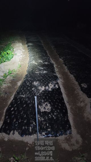 서초농원님의 기타작물 · 영농일지 작성글 사진