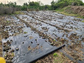 한재범님의 기타작물 · 영농일지 작성글 사진