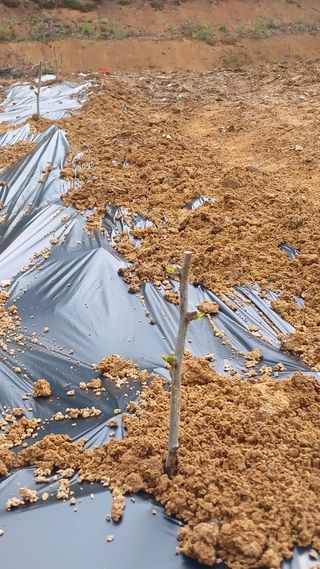 박준권님의 기타작물 · 영농일지 작성글 사진