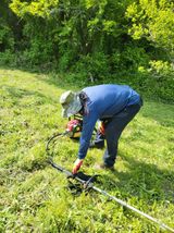 팜모닝 매실·영농일지 게시글 이미지