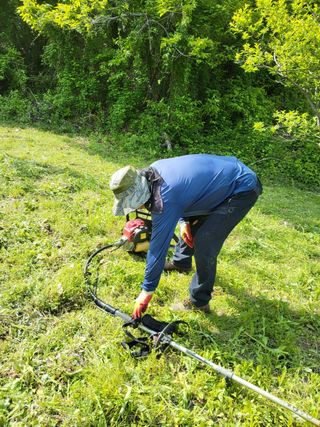 반봉현님의 매실 · 영농일지 작성글 사진
